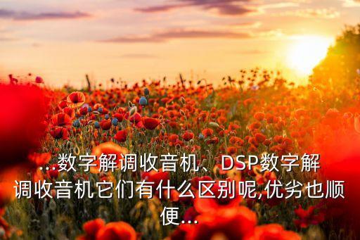 dsp的缺点大数据,跑鞋的dsp大底和橡胶大底哪个好?