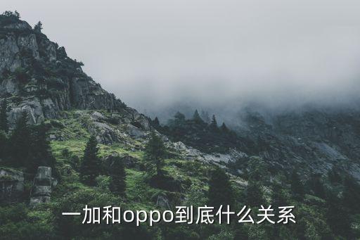 一加和oppo到底什么关系