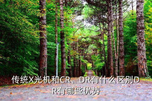 dr是x光片吗,x光片和老实照相机之别