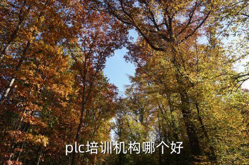 plc培训机构哪个好