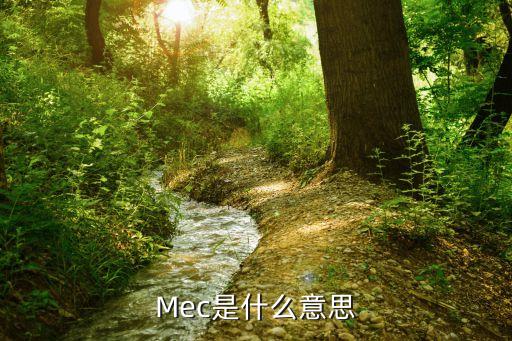 mec，mec是什么缩写