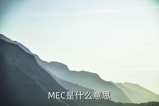 mec是什么意思