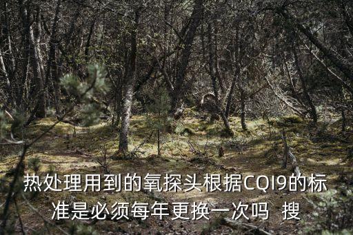 热处理用到的氧探头根据cqi9的标准是必须每年更换一次吗  搜