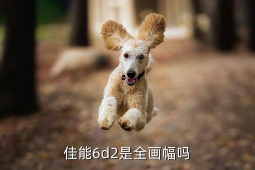 佳能6d2参数，佳能6d2是全画幅吗