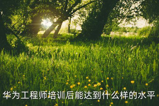 华为工程师培训后能达到什么样的水平