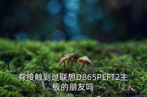 有接触到过联想d865peft2主板的朋友吗