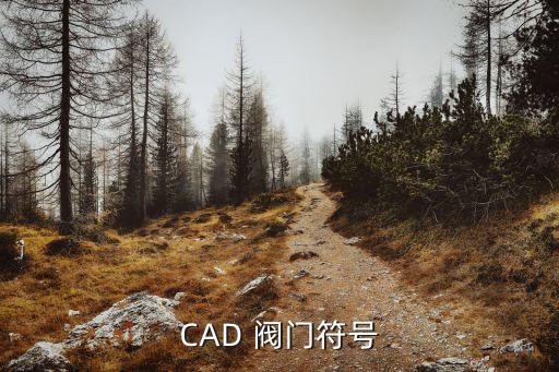 cad 阀门符号