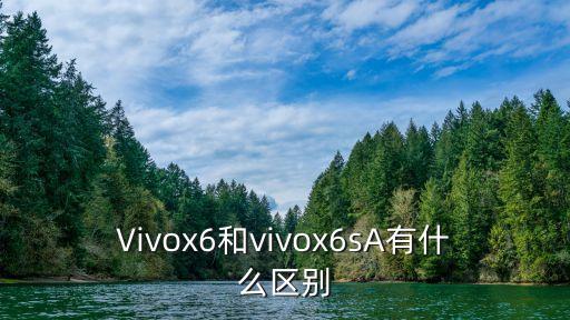 vivox6和vivox6sa有什么区别