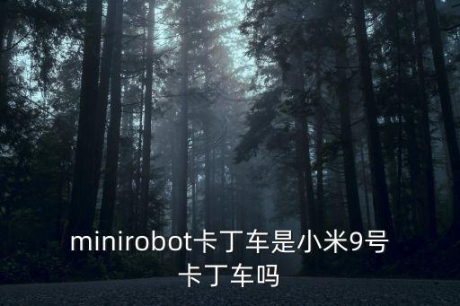 minirobot卡丁车是小米9号卡丁车吗