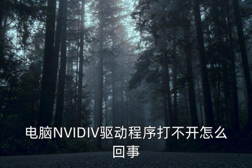 电脑nvidiv驱动程序打不开怎么回事