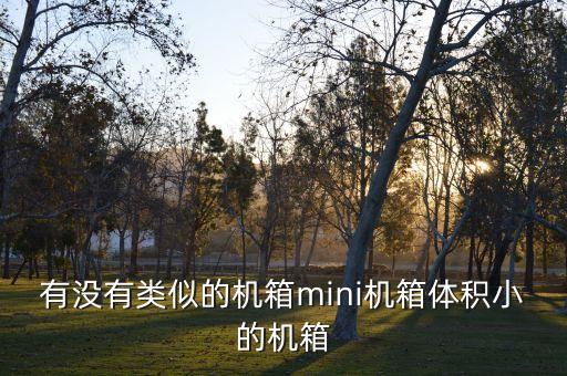 有没有类似的机箱mini机箱体积小的机箱