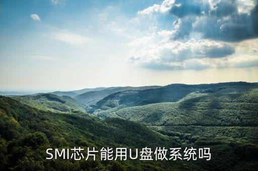 smi主控，smi芯片能用u盘做系统吗