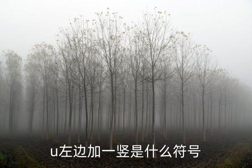 u左边加一竖是什么符号