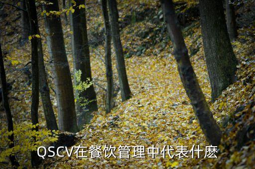 qscv在餐饮管理中代表什麽