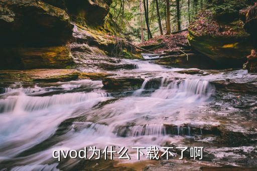 qvod为什么下载不了啊