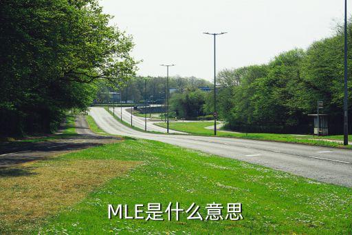 mle是什么意思