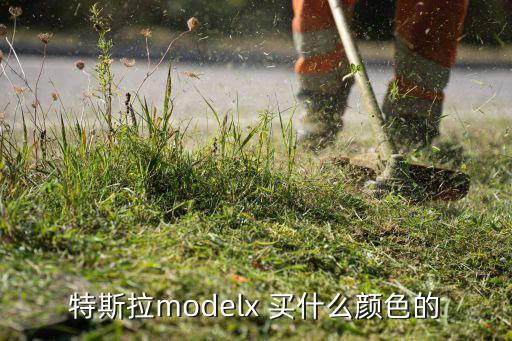 特斯拉modelx 买什么颜色的