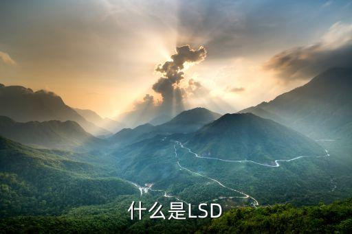 什么是lsd