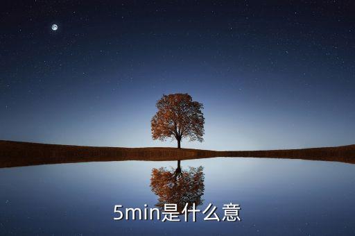 5min是什么意