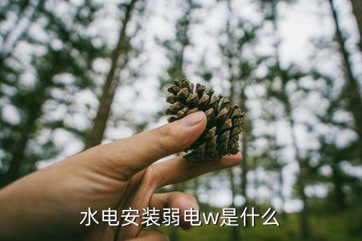 感温火灾探测器，水电安装弱电w是什么