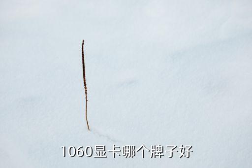 1060显卡哪个牌子好