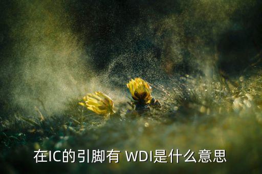 在ic的引脚有 wdi是什么意思