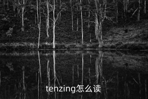 tenzing怎么读