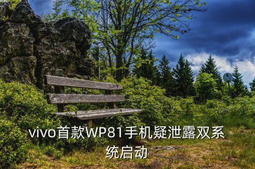 vivo首款wp81手机疑泄露双系统启动