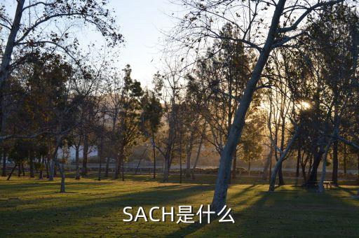 sach是什么