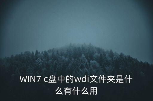 wdi，在ic的引脚有 wdi是什么意思