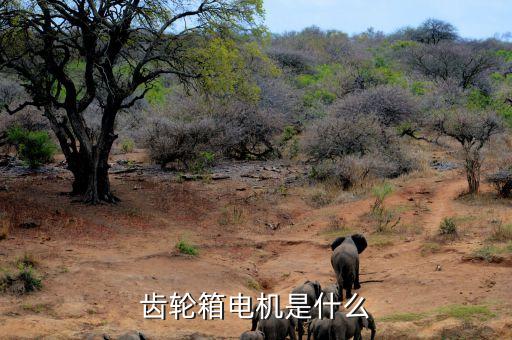 齿轮箱电机是什么