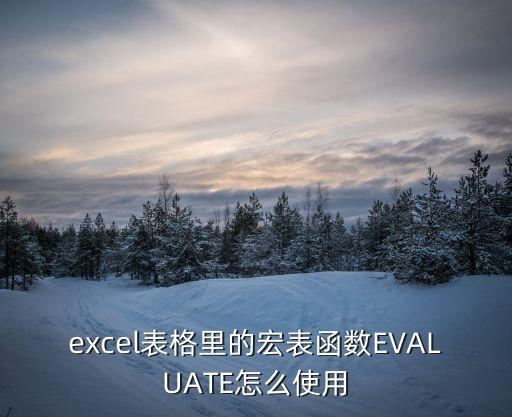 evaluate函数，excel表格里的宏表函数evaluate怎么使用