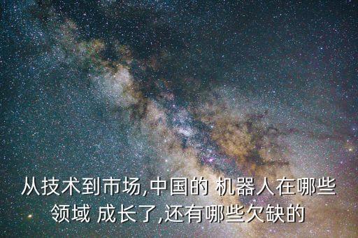 从技术到市场,中国的 机器人在哪些领域 成长了,还有哪些欠缺的