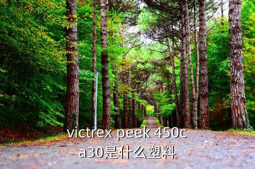 victrex peek 450ca30是什么塑料