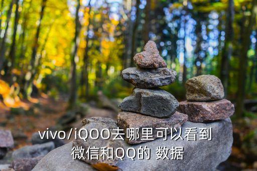 vivo/iqoo去哪里可以看到 微信和qq的 数据