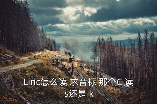 linc怎么读 求音标 那个c 读 s还是 k