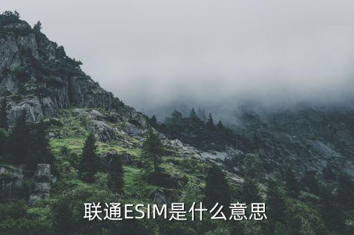 联通esim是什么意思