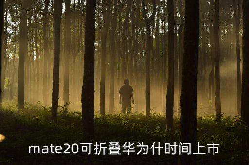 mate20发布日期，mate20可折叠华为什时间上市