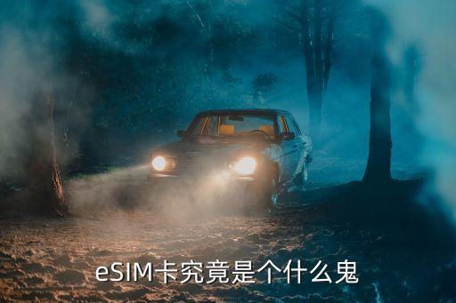 esim卡究竟是个什么鬼