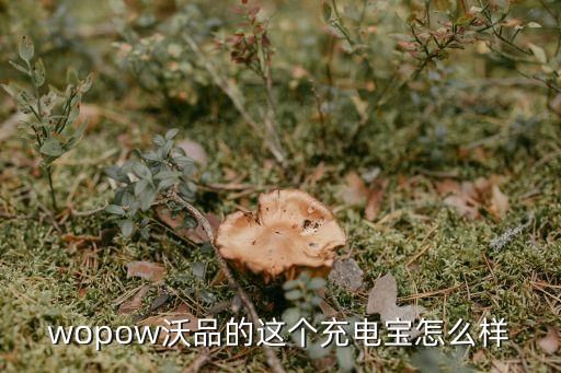 wopow，想定制一批移动电源wopow沃品的怎么样