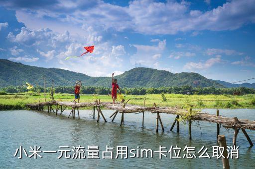 小米一元流量占用sim卡位怎么取消