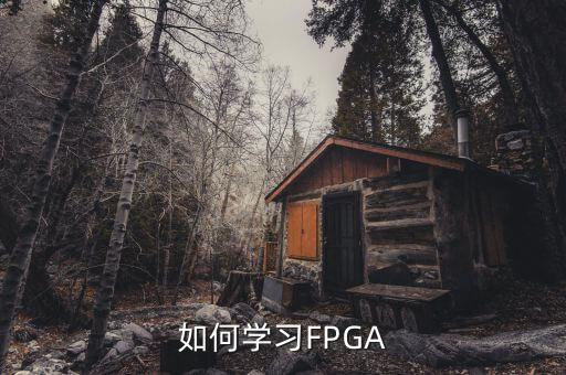 如何学习fpga