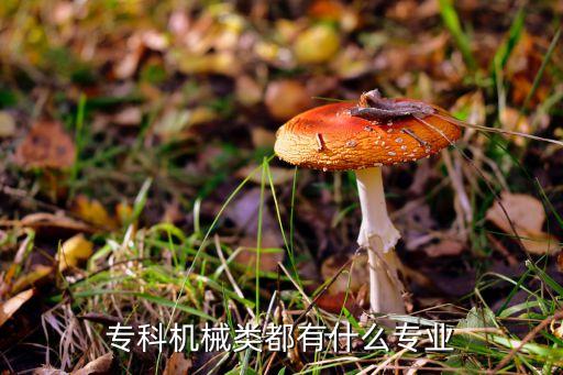 自动化是什么专科专业学的,电气自动化技术专业是什么专业?