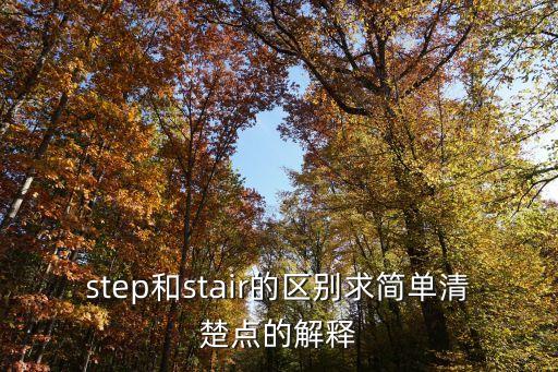 step和stair的区别求简单清楚点的解释