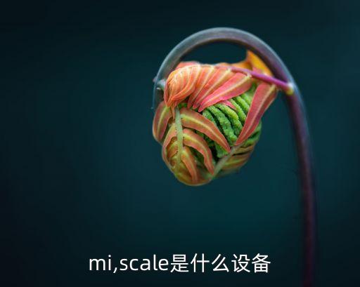 mi,scale是什么设备