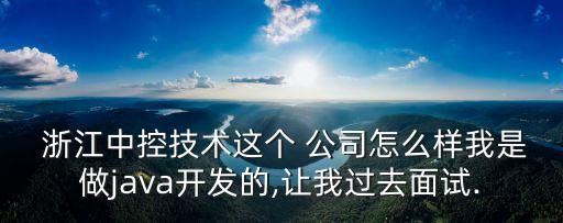  浙江中控技术这个 公司怎么样我是做java开发的,让我过去面试.