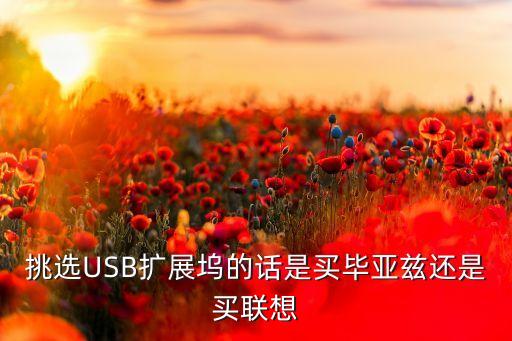 挑选usb扩展坞的话是买毕亚兹还是买联想