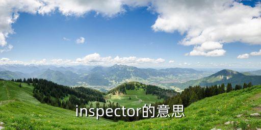 inspector的意思