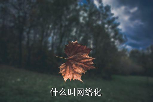 什么叫网络化