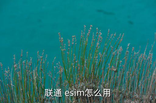 联通 esim怎么用